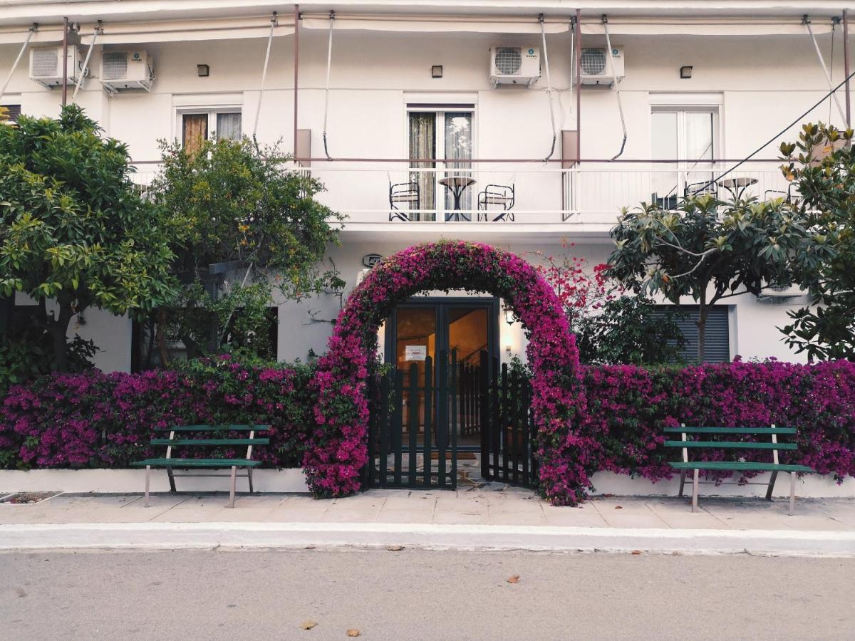 קמנה וורלה Hotel Ritsa מראה חיצוני תמונה