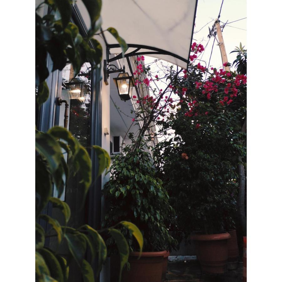 קמנה וורלה Hotel Ritsa מראה חיצוני תמונה