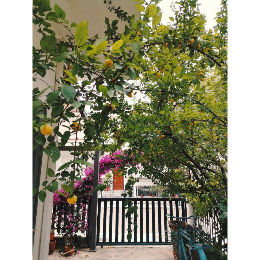 קמנה וורלה Hotel Ritsa מראה חיצוני תמונה