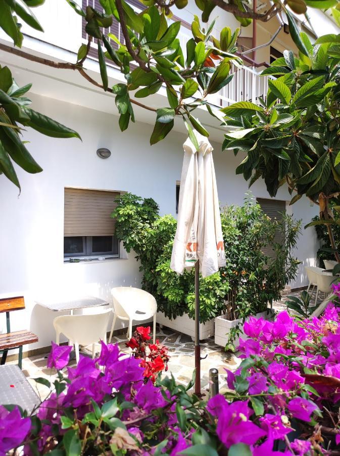 קמנה וורלה Hotel Ritsa מראה חיצוני תמונה