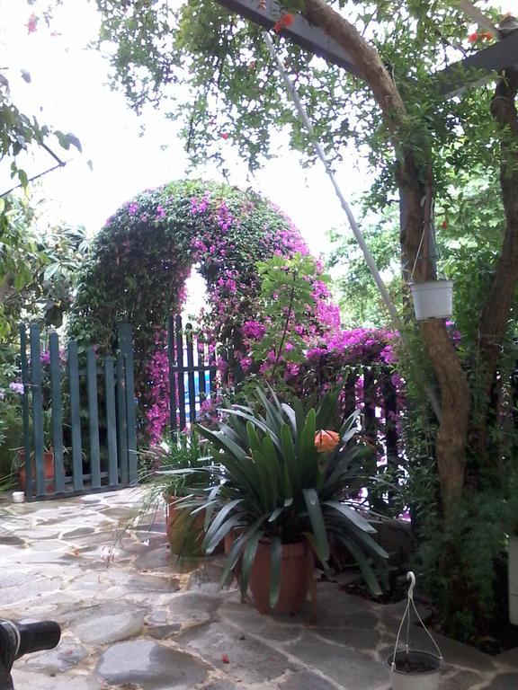 קמנה וורלה Hotel Ritsa מראה חיצוני תמונה