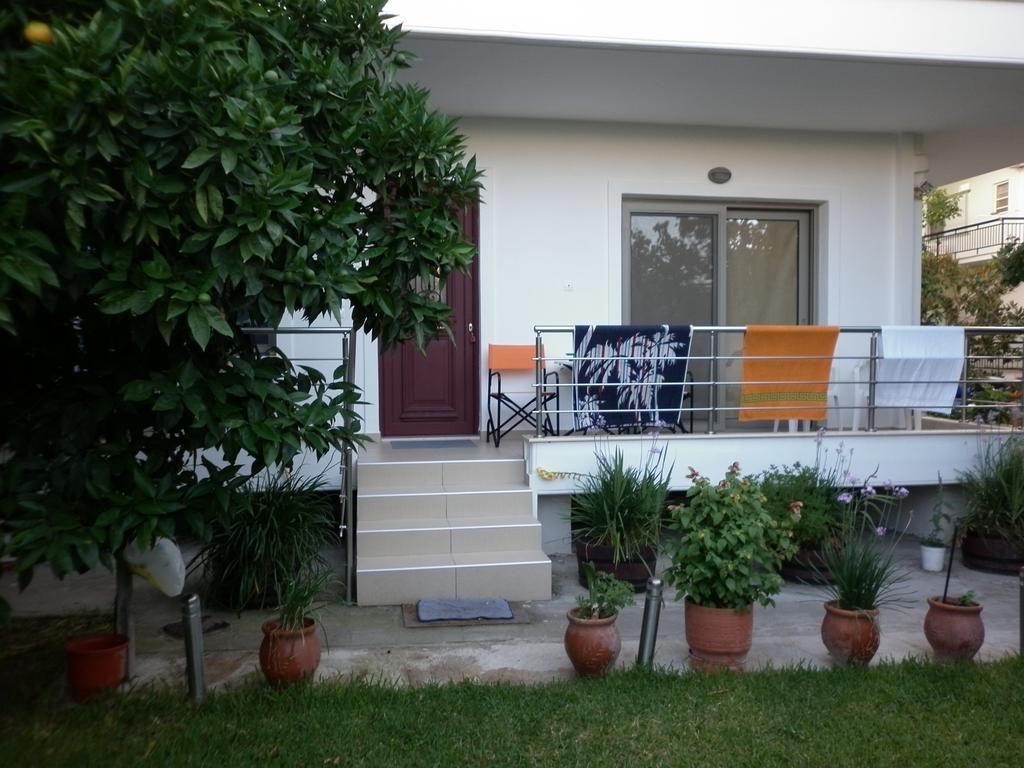 קמנה וורלה Hotel Ritsa מראה חיצוני תמונה