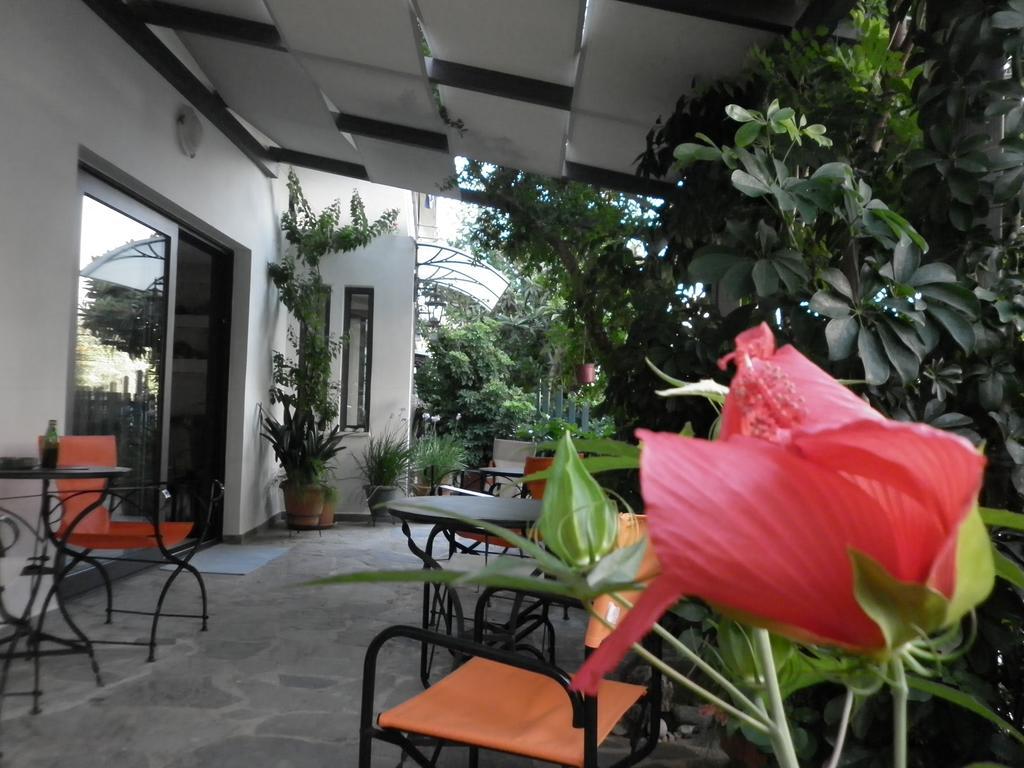 קמנה וורלה Hotel Ritsa מראה חיצוני תמונה